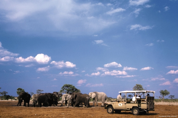 Hotel Belmond Safaris (Maun)